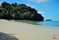 Parque Nacional Manuel Antonio -Quepos de Quepos, Puntarenas-