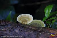 Parque Nacional Manuel Antonio -Quepos de Quepos, Puntarenas-