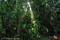 Parque Nacional Manuel Antonio -Quepos de Quepos, Puntarenas-