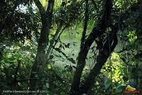 Parque Nacional Manuel Antonio -Quepos de Quepos, Puntarenas-