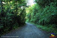 Parque Nacional Manuel Antonio -Quepos de Quepos, Puntarenas-