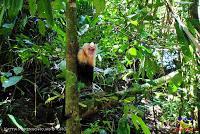 Parque Nacional Manuel Antonio -Quepos de Quepos, Puntarenas-