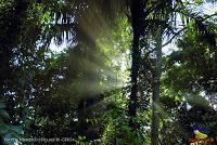 Parque Nacional Manuel Antonio -Quepos de Quepos, Puntarenas-