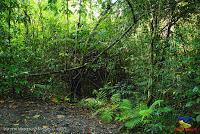 Parque Nacional Manuel Antonio -Quepos de Quepos, Puntarenas-