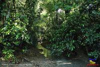 Parque Nacional Manuel Antonio -Quepos de Quepos, Puntarenas-