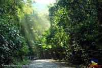 Parque Nacional Manuel Antonio -Quepos de Quepos, Puntarenas-