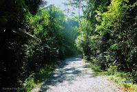 Parque Nacional Manuel Antonio -Quepos de Quepos, Puntarenas-