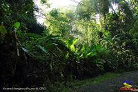 Parque Nacional Manuel Antonio -Quepos de Quepos, Puntarenas-