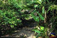 Parque Nacional Manuel Antonio -Quepos de Quepos, Puntarenas-