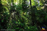 Parque Nacional Manuel Antonio -Quepos de Quepos, Puntarenas-