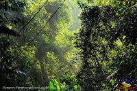 Parque Nacional Manuel Antonio -Quepos de Quepos, Puntarenas-