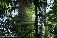 Parque Nacional Manuel Antonio -Quepos de Quepos, Puntarenas-