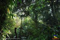 Parque Nacional Manuel Antonio -Quepos de Quepos, Puntarenas-