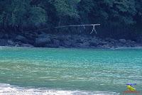 Parque Nacional Manuel Antonio -Quepos de Quepos, Puntarenas-