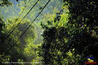 Parque Nacional Manuel Antonio -Quepos de Quepos, Puntarenas-