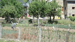 DE CASTELO BRANCO A PUEBLA DE SANABRIA Y REGRESO (II)Brag...