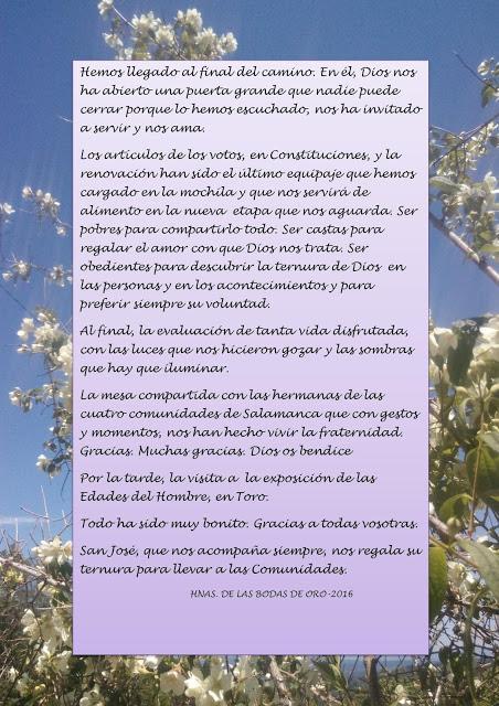 Solo nos mueve lo que nos conmueve: Siervas de San José. Solo nos mueve lo que nos conmueve: Siervas de San José.