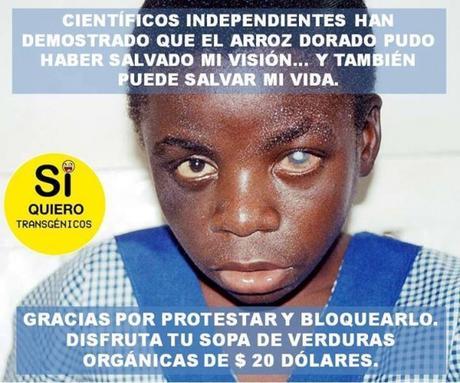 Arroa-dorado-580x483