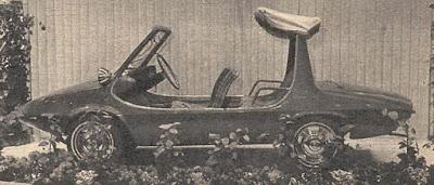 La Preguntita del Domingo 177