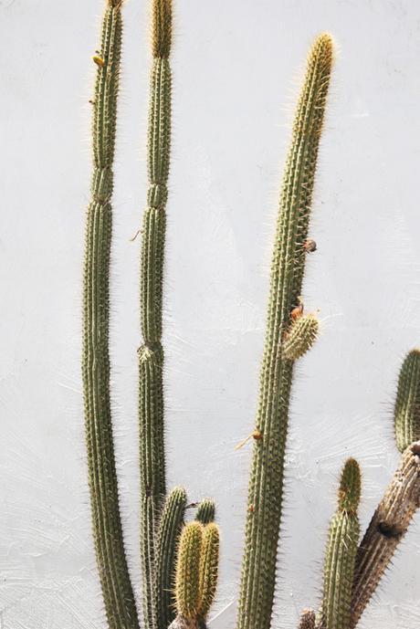 INSPIRATIONAL MONDAY #30 INSPIRATIONAL MONDAY #30