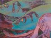 Maeve Ratón: peces duelo