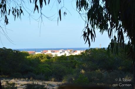 Guardamar, Pinos y Mar