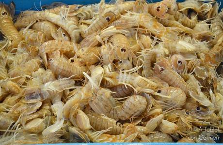 Guardamar, Pinos y Mar