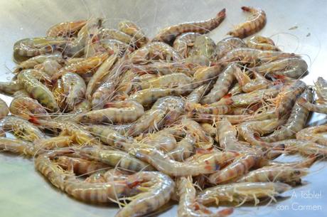 Guardamar, Pinos y Mar