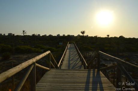 Guardamar, Pinos y Mar