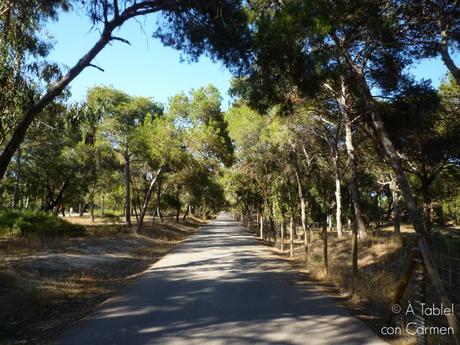 Guardamar, Pinos y Mar