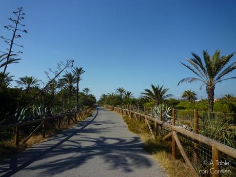 Guardamar, Pinos y Mar