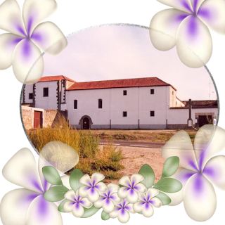 Desde Ledesma: CRISTO VIVO EN UNA ESPAÑA QUE BOSTEZA