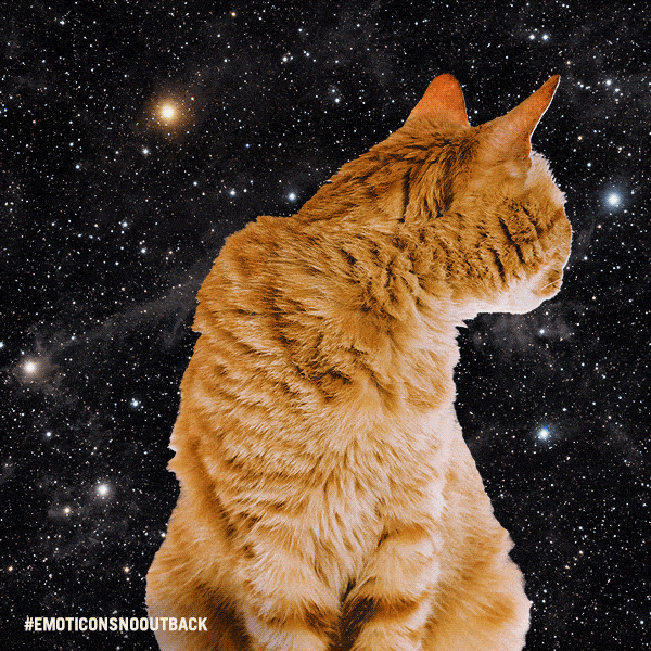 McCain lanza patatas fritas con forma de emojis