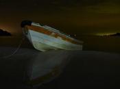 Nadando entre plancton bioluminescente, noche mágica!