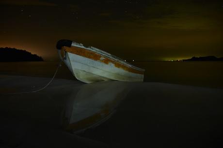 Nadando entre plancton bioluminescente, una noche mágica!