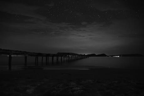 Nadando entre plancton bioluminescente, una noche mágica!