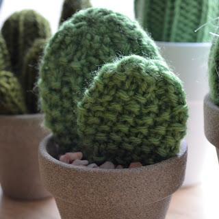 Los cactus como punto focal.