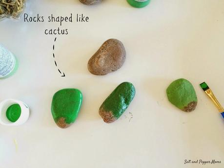 Los cactus como punto focal.