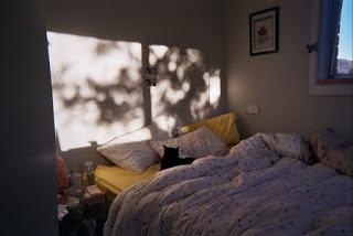 Curiosidades de Tumblr ^^