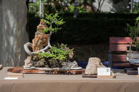 EXPOSICIÓN en el Parc de Sant Jordi