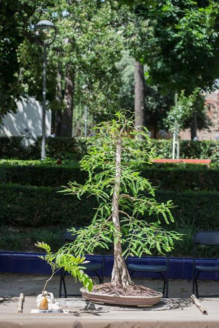 EXPOSICIÓN en el Parc de Sant Jordi