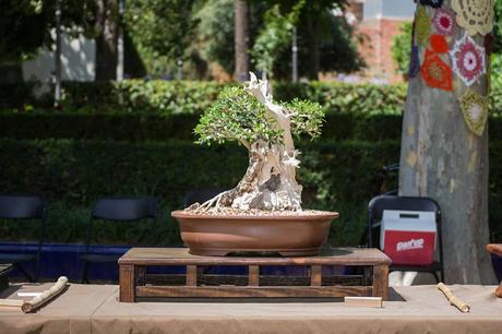 EXPOSICIÓN en el Parc de Sant Jordi