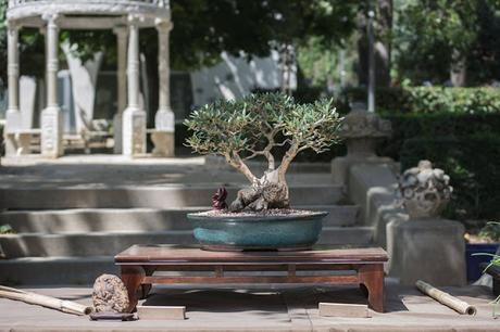 EXPOSICIÓN en el Parc de Sant Jordi