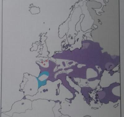 La libélula marrón