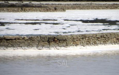 sal2