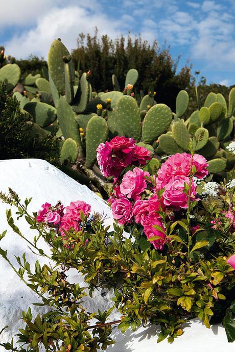 Can Kaki: el refugio en Ibiza de Luis Galliussi Can Kaki: el refugio en Ibiza de Luis Galliussi