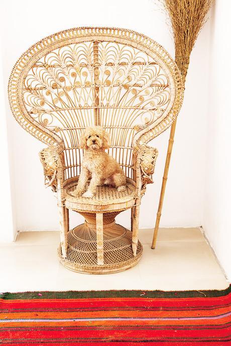 Can Kaki: el refugio en Ibiza de Luis Galliussi Can Kaki: el refugio en Ibiza de Luis Galliussi