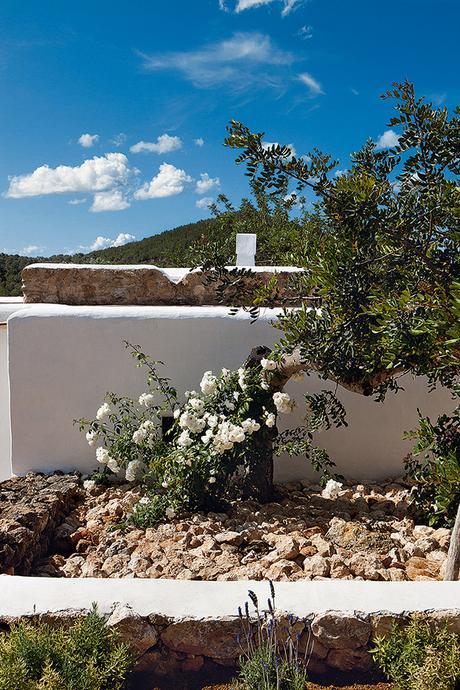 Can Kaki: el refugio en Ibiza de Luis Galliussi Can Kaki: el refugio en Ibiza de Luis Galliussi