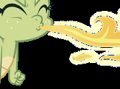 Donde buscar dragones como encontrarlos Quinta Parte