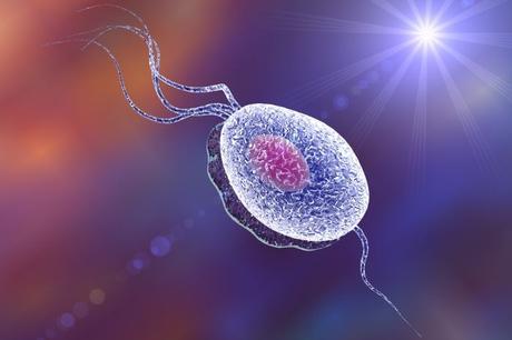 Enfermedades de transmisión sexual de origen vírico y parasitario